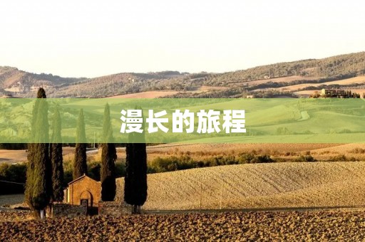 漫长的旅程:一个永无止境的探索之旅