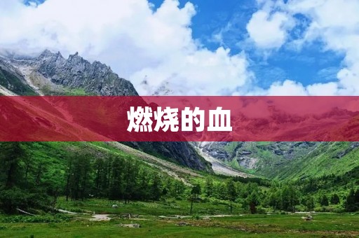 燃烧的血：奋斗与追求的力量