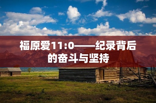 福原爱11:0——纪录背后的奋斗与坚持 福原爱11:0——纪录背后的奋斗与坚持