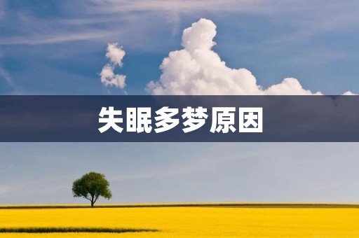 失眠多梦原因:探索睡眠障碍的根源