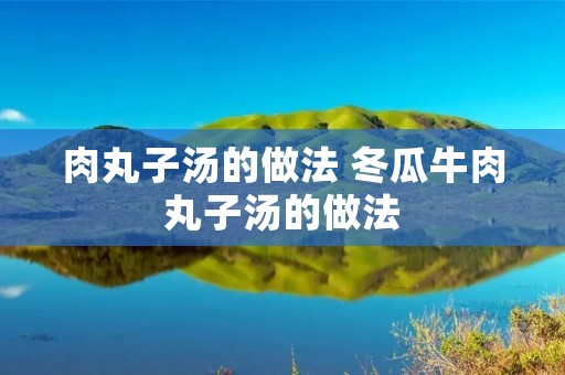 肉丸子汤的做法 冬瓜牛肉丸子汤的做法