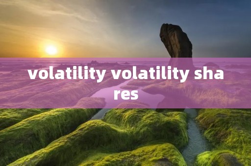 volatility volatility shares