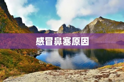 感冒鼻塞原因:探究感冒引发鼻塞的根本原因