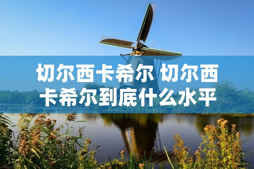 切尔西卡希尔 切尔西卡希尔到底什么水平