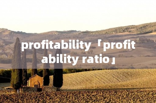 profitability「profitability ratio」