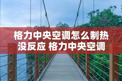 格力中央空调怎么制热没反应 格力中央空调制热没反应咋回事 格力中央空调怎么制热没反应 格力中央空调制热没反应咋回事
