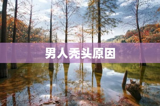 男人秃头原因:探究秃头背后的真相