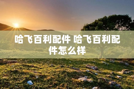 哈飞百利配件 哈飞百利配件怎么样