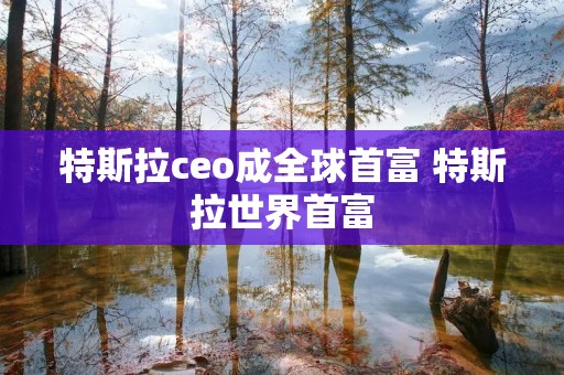 特斯拉ceo成全球首富 特斯拉世界首富