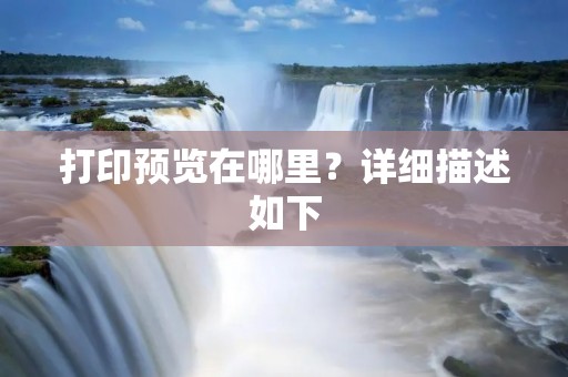 打印预览在哪里?详细描述如下: