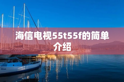 海信电视55t55f的简单介绍