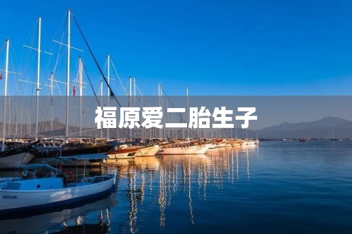 福原爱二胎生子:家庭的喜悦与成长 福原爱二胎生子:家庭的喜悦与成长