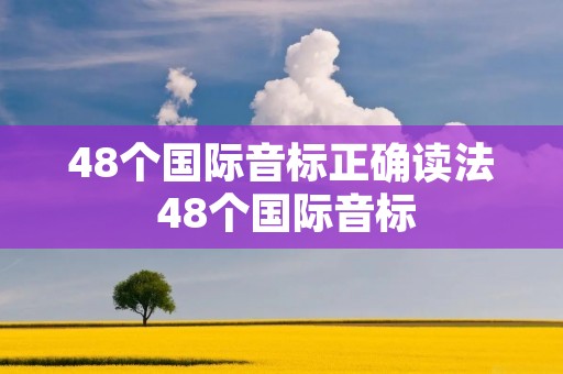 48个国际音标正确读法 48个国际音标