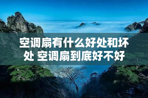 空调扇有什么好处和坏处 空调扇到底好不好
