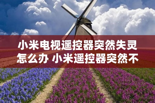 小米电视遥控器突然失灵怎么办 小米遥控器突然不能用了 小米电视遥控器突然失灵怎么办 小米遥控器突然不能用了