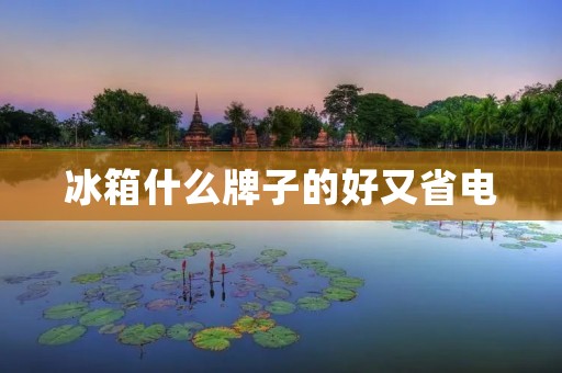 冰箱什么牌子的好又省电 冰箱什么牌子的好又省电