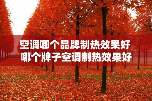空调哪个品牌制热效果好 哪个牌子空调制热效果好