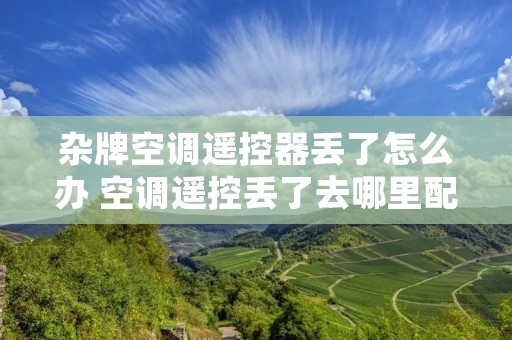 杂牌空调遥控器丢了怎么办 空调遥控丢了去哪里配吗 杂牌空调遥控器丢了怎么办 空调遥控丢了去哪里配吗