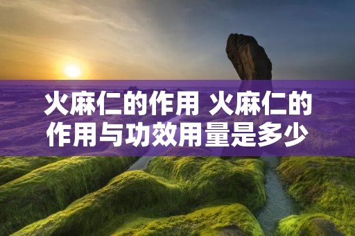 火麻仁的作用 火麻仁的作用与功效用量是多少