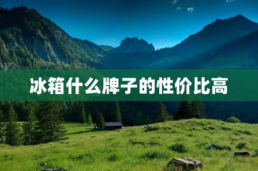 冰箱什么牌子的性价比高