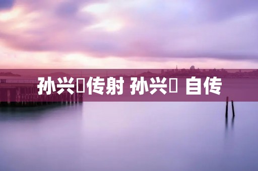 孙兴慜传射 孙兴慜 自传