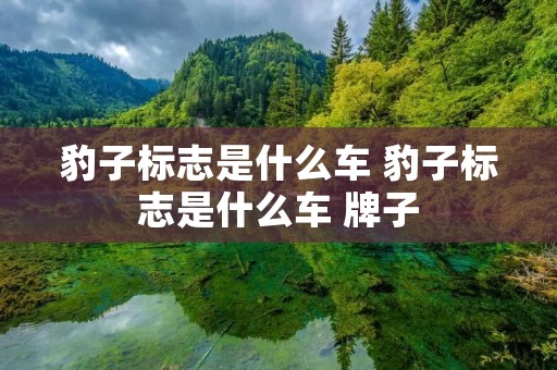 豹子标志是什么车 豹子标志是什么车 牌子