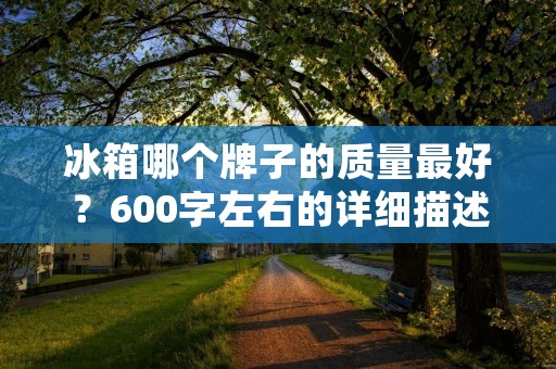 冰箱哪个牌子的质量最好？600字左右的详细描述