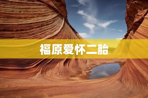 福原爱怀二胎:家庭与职业的平衡之道 福原爱怀二胎:家庭与职业的平衡之道