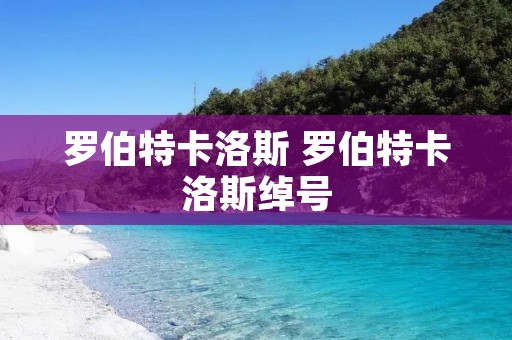 罗伯特卡洛斯 罗伯特卡洛斯绰号