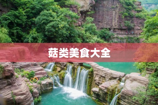 菇类美食大全：丰富多样的菇类做法分享
