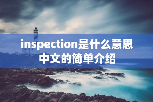 inspection是什么意思中文的简单介绍