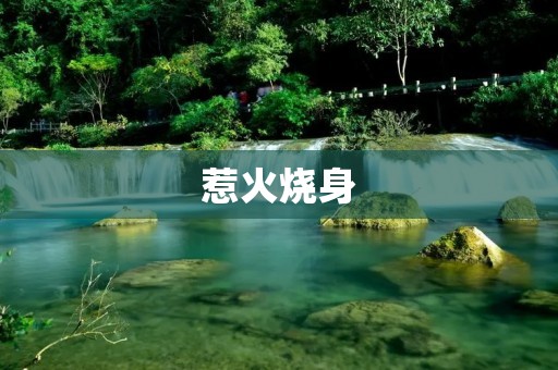 惹火烧身：燃烧起源与危害