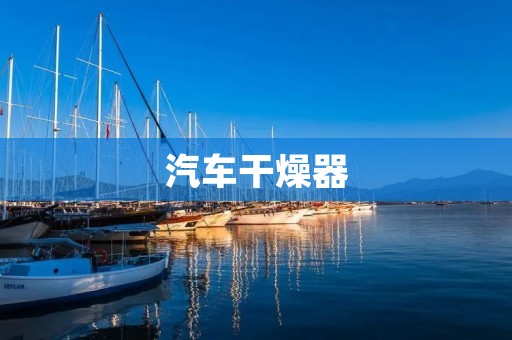 汽车干燥器:保护您的爱车免受湿气侵害 汽车干燥器:保护您的爱车免受湿气侵害