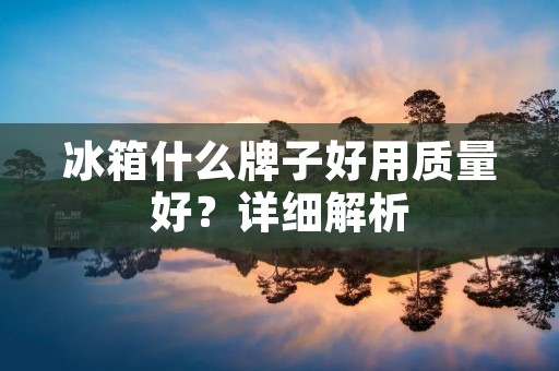 冰箱什么牌子好用质量好?详细解析 冰箱什么牌子好用质量好?详细解析