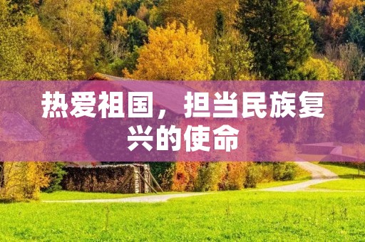 热爱祖国，担当民族复兴的使命