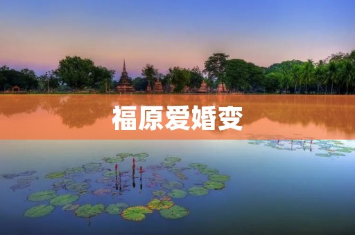 福原爱婚变：一个失去的爱情，一个重新开始的人生