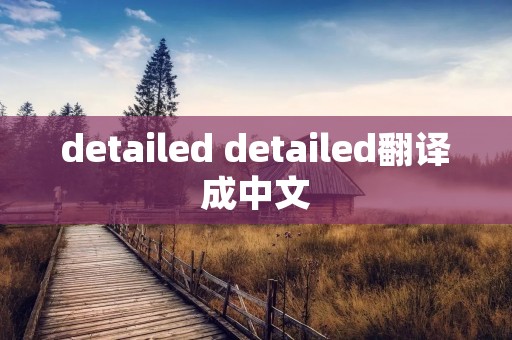 detailed detailed翻译成中文
