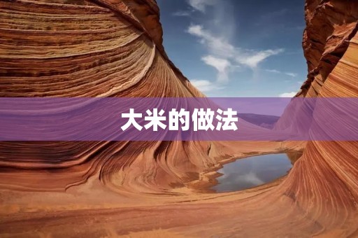 大米的做法