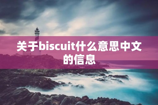 关于biscuit什么意思中文的信息