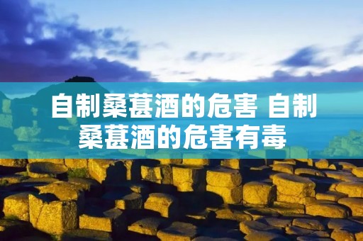 自制桑葚酒的危害 自制桑葚酒的危害有毒