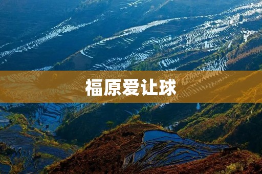 福原爱让球:一个传奇乒乓球运动员的成长之路 福原爱让球:一个传奇乒乓球运动员的成长之路