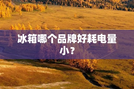 冰箱哪个品牌好耗电量小? 冰箱哪个品牌好耗电量小?