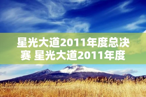 星光大道2011年度总决赛 星光大道2011年度总决赛颁奖