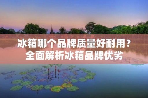 冰箱哪个品牌质量好耐用？全面解析冰箱品牌优劣