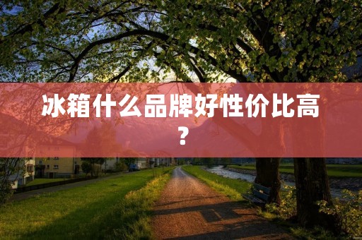 冰箱什么品牌好性价比高? 冰箱什么品牌好性价比高?