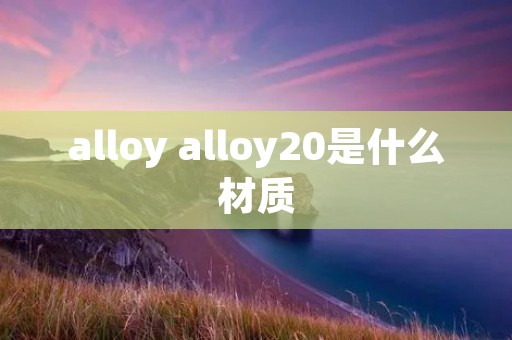 alloy alloy20是什么材质