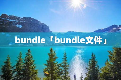 bundle「bundle文件」
