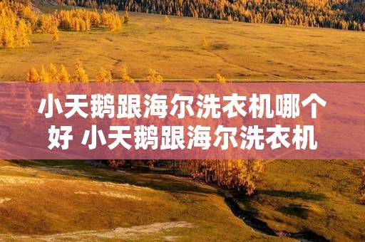小天鹅跟海尔洗衣机哪个好 小天鹅跟海尔洗衣机哪个质量好 小天鹅跟海尔洗衣机哪个好 小天鹅跟海尔洗衣机哪个质量好