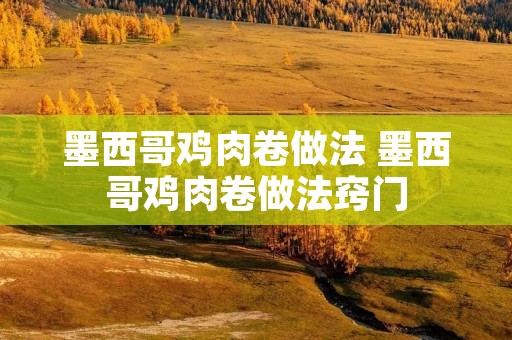 墨西哥鸡肉卷做法 墨西哥鸡肉卷做法窍门