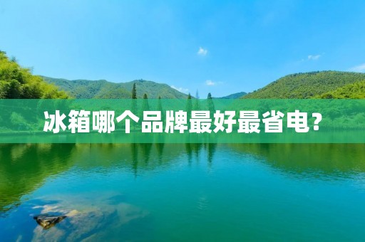 冰箱哪个品牌最好最省电? 冰箱哪个品牌最好最省电?